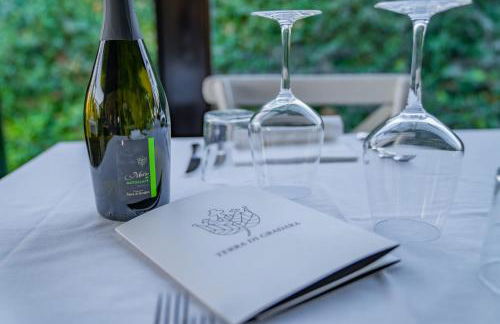 Terra di Gradara - Foto 118