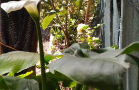 Villa Margherita - Foto 33