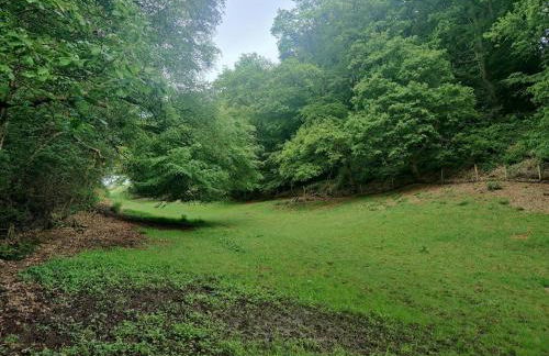 Acorn Lodge Luxury Retreat In a Stunning Oasis With Hot Tub - Pass the Keys - Foto 69