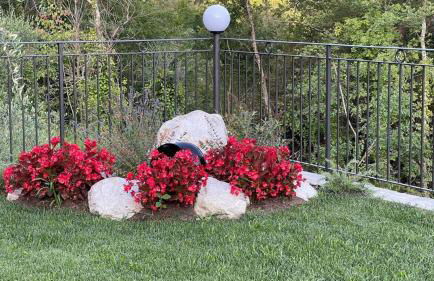 Agriturismo a Canonica - Foto 74