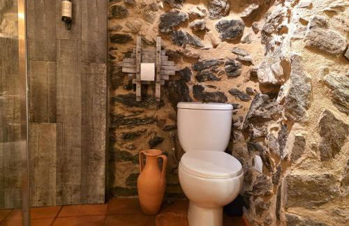 Cardenha das Formiguinhas - Foto 20