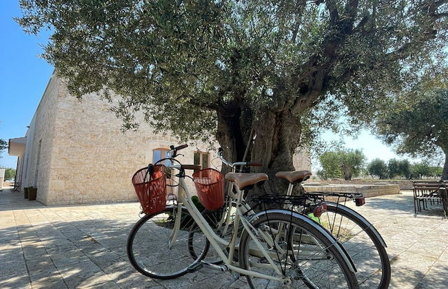 Masseria Fanizzi - Photo 33