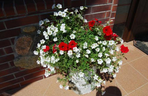 Kamienna Zagroda - Foto 24