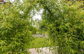 Large Country Cottage, Sleeps 8 - Spa Facilities, Garden Bar, Catering Services, Free Parking, Nature Reserve, Hen Parties - Foto 65