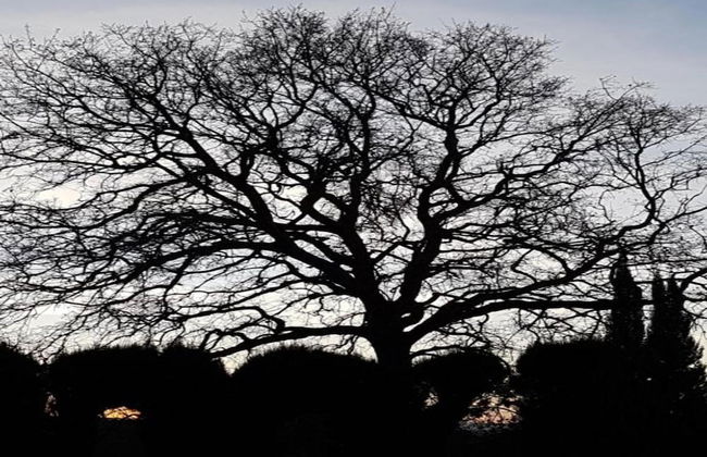 Vintage Farmhouse in Soudos Lisbon With Pool - Foto 25