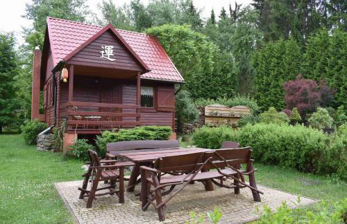 Ogród Shinrin Yoku Odpoczynek w Lesie - Foto 15