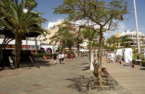 Parque Tropical I - Photo 45