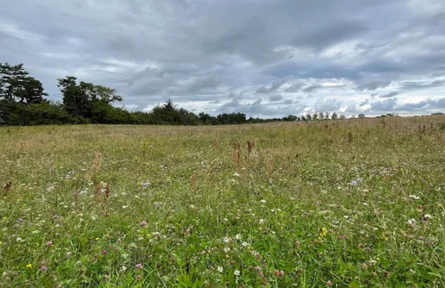 8 Person Holiday Home in Melby - Foto 3