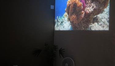 Studio12 Completo GRU Airport sem café da manhã - Foto 4