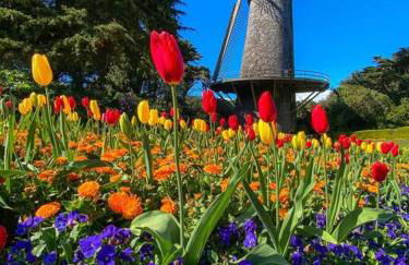 Golden Gate Park Sweet Home- 3 Bedrooms - Foto 26