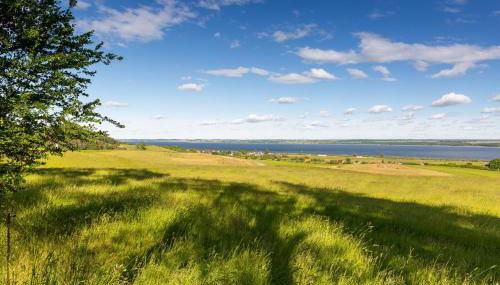 Haus an der Peene - Foto 5