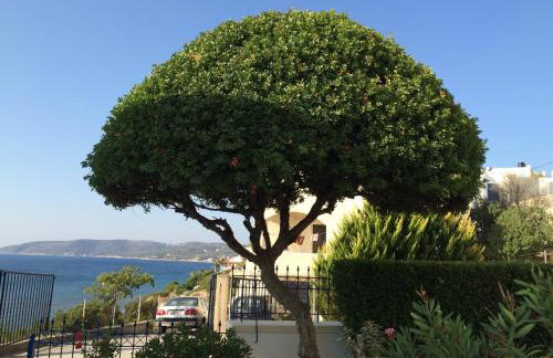 Sea Breeze Apartments Chios - Photo 73