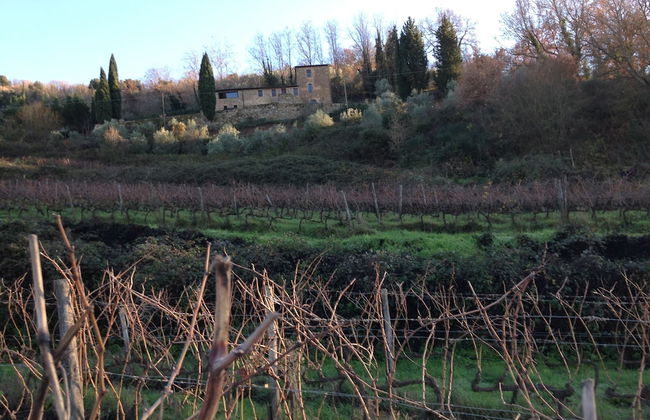 Il Burellino Wine & Resort - Foto 49