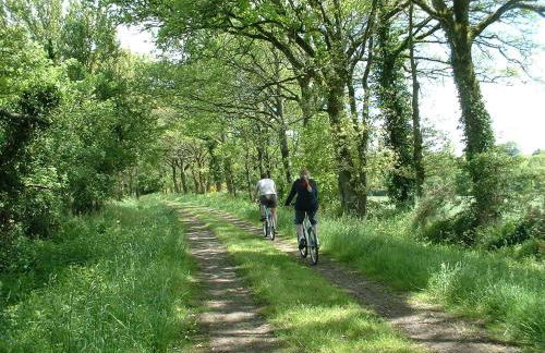 Triton Cotton - Foto 12