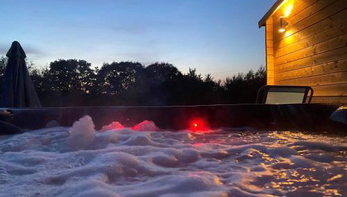 Silver Springs Farm Lodge - Foto 3