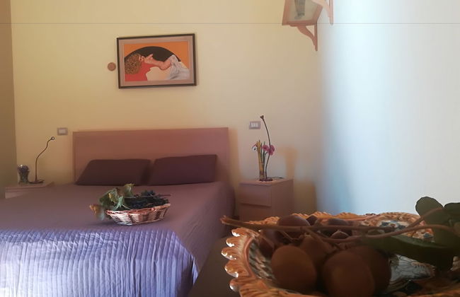 Viola nel Parco - Foto 5