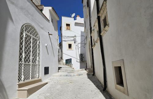 Joivy Dimore Rodiane - U Vucc'l - Foto 14