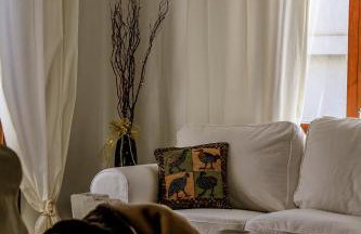 Villa Buena Vista - Foto 8