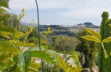 Casa di ingrida Bussana Vecchia - Foto 14