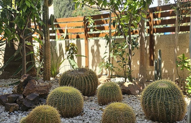 122 VOR - Stay Cactus House - Foto 34