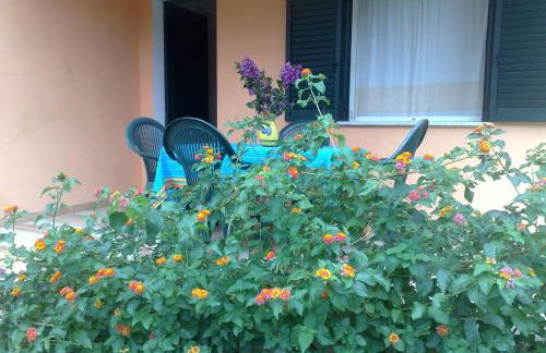 Residence La Pineta - Foto 49