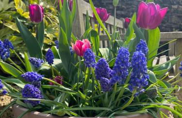 Norburton Hall Cottages - Photo 16