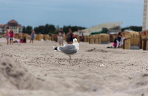 Ferienwohnungen Neue Tiefe - Wohnung Kleiderbügel - Foto 22