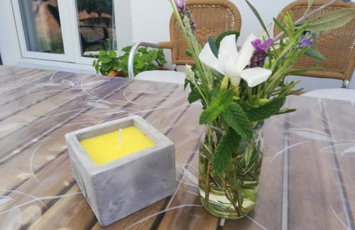 Burrico D`Orada - Rural Stays & Wine Country Tours - Foto 16