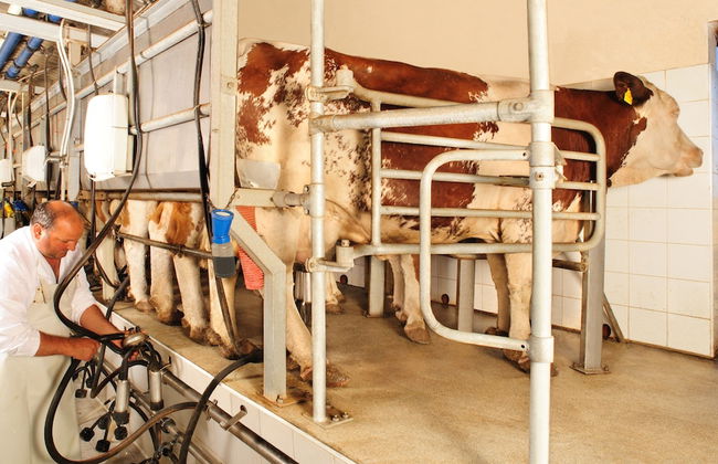 Agriturismo Villa Dafne - Foto 44