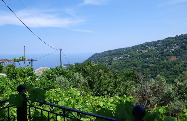 Paradeisos Studio With Garden View - Foto 5