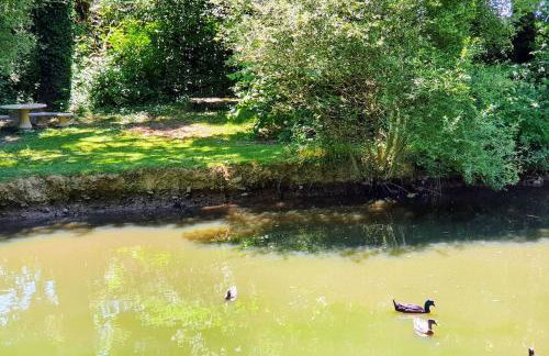 Tout le confort au milieu d'un parc botanique - Foto 21