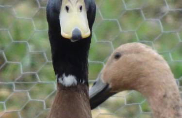 Modern Barn Conversion - Photo 31