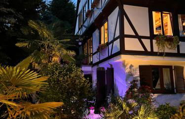 Einliegerwohnung in einer Mühle vor den Toren Frankfurts, ideal für Messegäste oder Stop Over - Foto 19