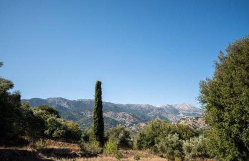 Prinus Country Retreat Apokoronas, heated pool, 13km from the sea - Photo 70