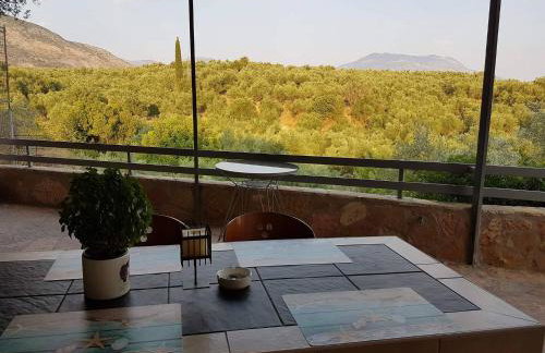 Sunny holiday home - Foto 16