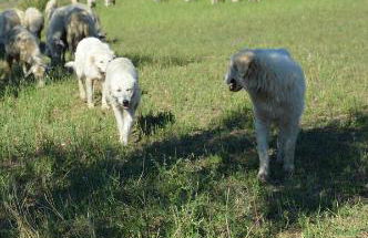 Azienda Agrituristica Caridà - Foto 113