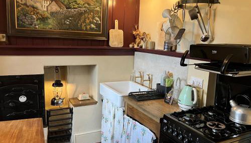 Nantgwynfaen Organic Farm Wales - Foto 2, toaster