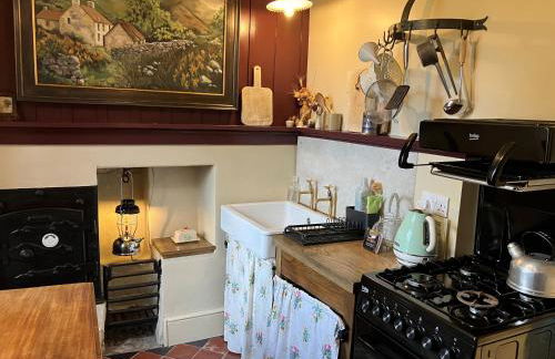 Nantgwynfaen Organic Farm Wales - Photo 2