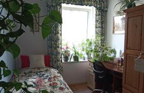 Dom Pod Złotym Bażantem - Foto 15