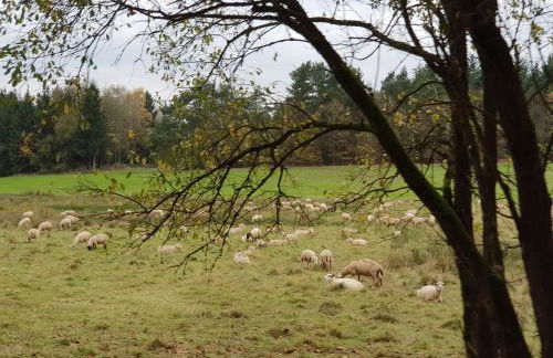 Apartment Am Sternberg 236 - Foto 63