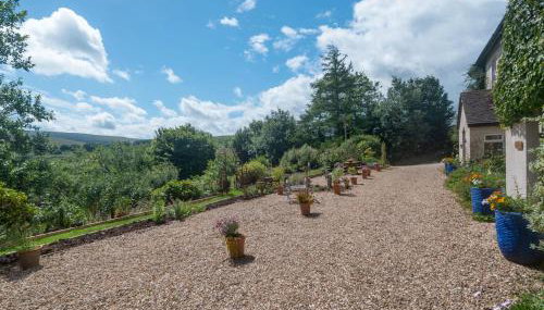 Brokan Fourwinds - Foto 4