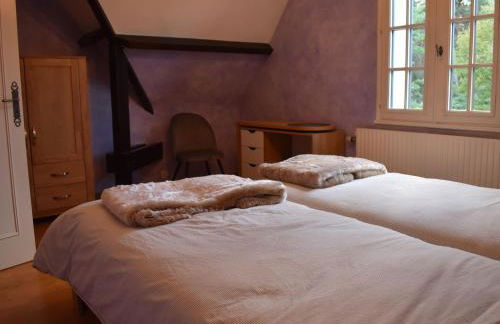 Gîte calme et paisible en forêt, idéal pour famille et amis - FR-1-410-486 - Foto 16