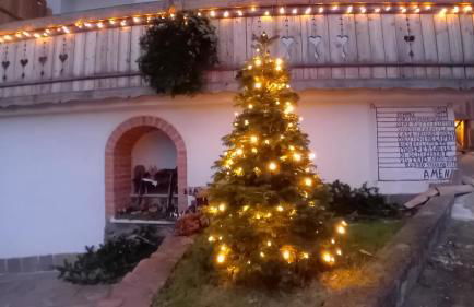 Cà sul dos - Foto 59