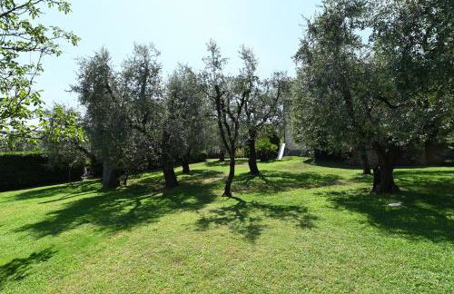 Agriturismo Corte Stefani - Foto 22