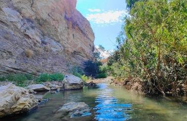 Casa Katarina - Foto 25