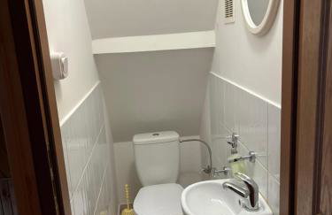 Stara Jabłoń dom w Bieszczadach - Photo 13