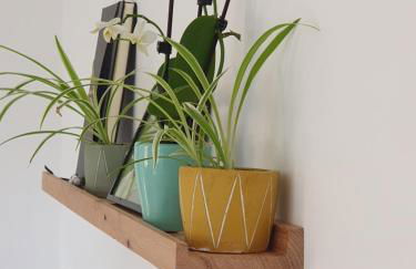 La Villa Juliette L'Etoile Filante Gite - Foto 15