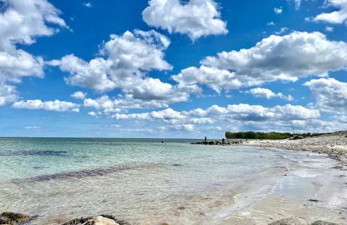 Hühnerstall Lüttenhof - Foto 30