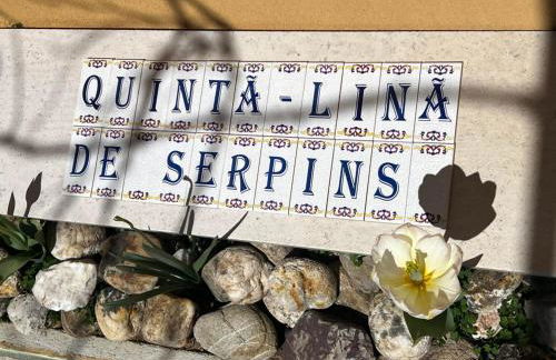 Quinta-lina de serpins - Foto 75