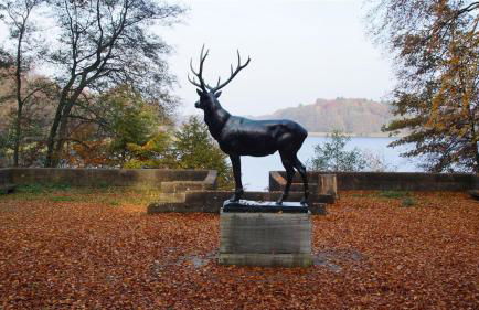 Schöne Ferienwohnung im Erholungsort Sternberg - Foto 23
